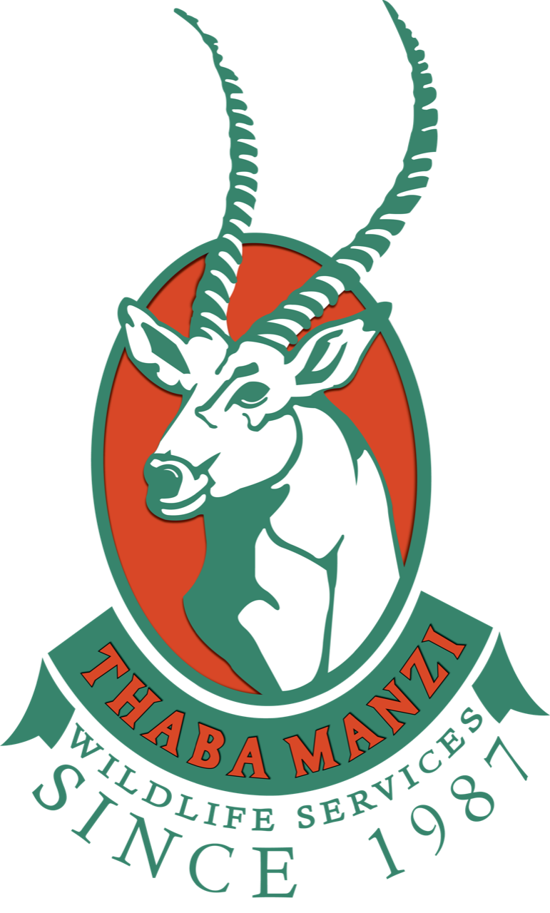 Thaba Manzi